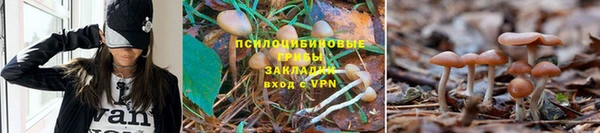 дживик Абинск